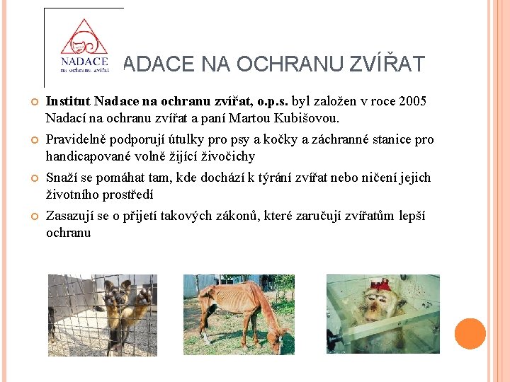 NADACE NA OCHRANU ZVÍŘAT Institut Nadace na ochranu zvířat, o. p. s. byl založen