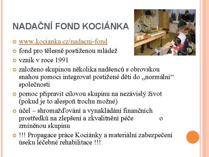 NADAČNÍ FOND KOCIÁNKA www. kocianka. cz/nadacni-fond pro tělesně postiženou mládež vznik v roce 1991