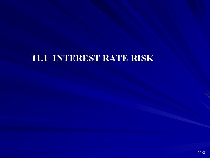 11. 1 INTEREST RATE RISK 11 -2 