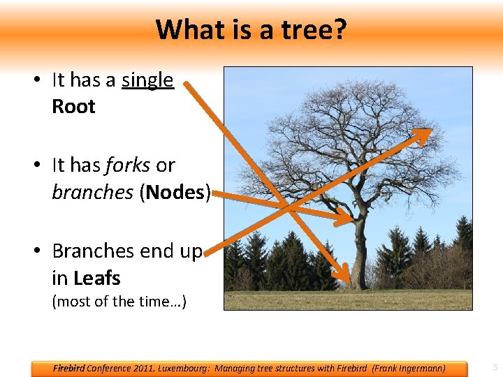 What is a tree? • It has a single Root • It has forks What is a tree? • It has a single Root • It has forks