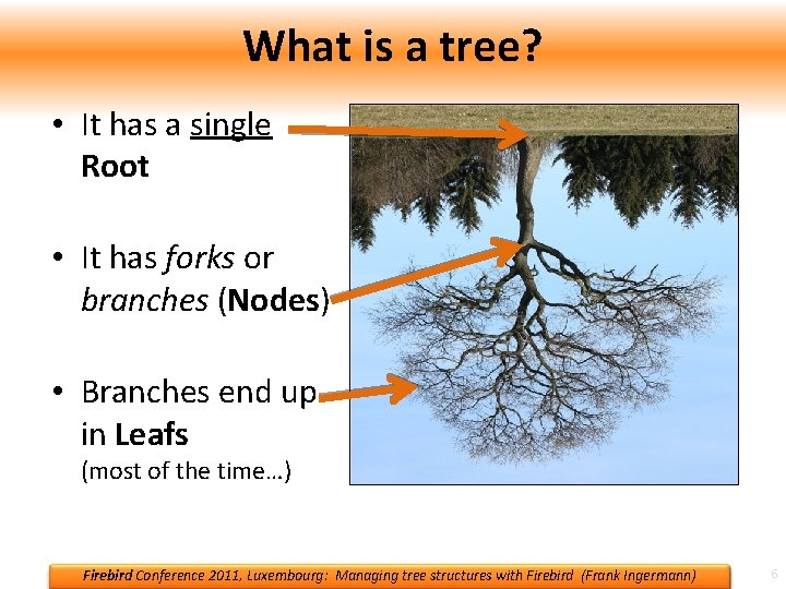 What is a tree? • It has a single Root • It has forks What is a tree? • It has a single Root • It has forks