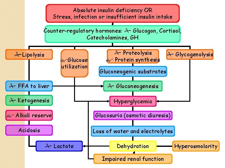 Absolute insulin deficiency OR Stress, infection or insufficient insulin intake Counter-regulatory hormones: Glucagon, Cortisol,