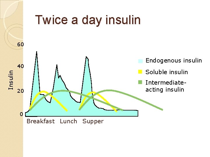 Twice a day insulin 60 Endogenous insulin Insulin 40 Soluble insulin Intermediateacting insulin 20