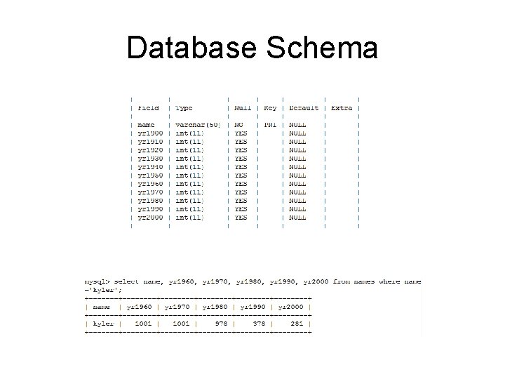 Database Schema Database Schema