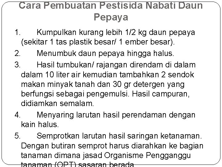 Cara Pembuatan Pestisida Nabati Daun Pepaya 1. Kumpulkan kurang lebih 1/2 kg daun pepaya