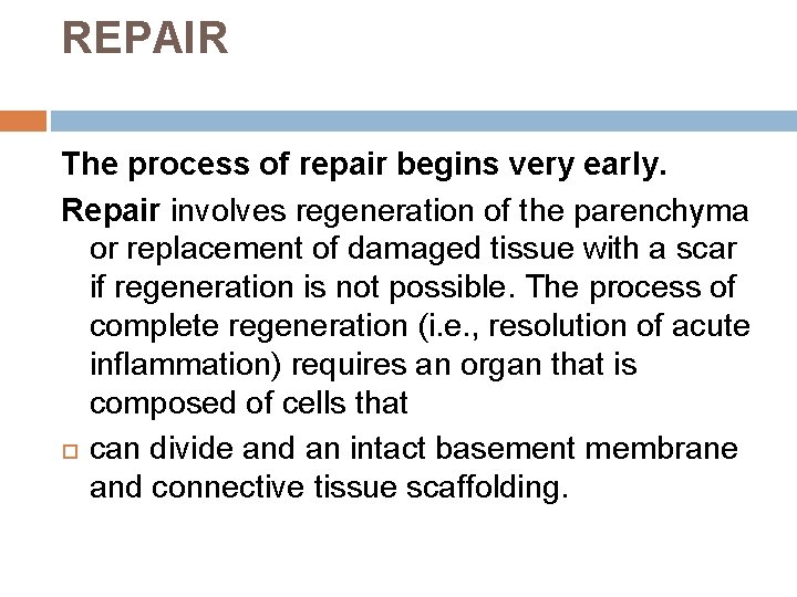 REPAIR The process of repair begins very early. Repair involves regeneration of the parenchyma