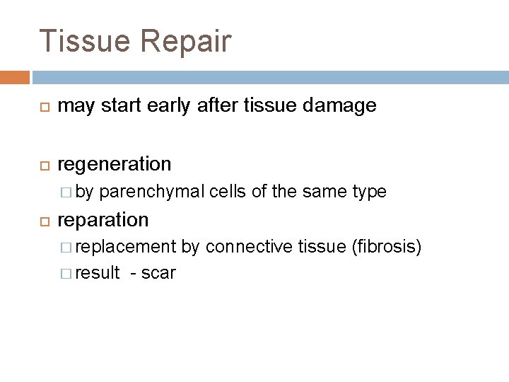 Tissue Repair may start early after tissue damage regeneration � by parenchymal cells of