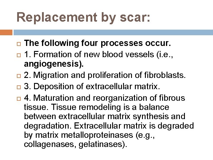 Replacement by scar: The following four processes occur. 1. Formation of new blood vessels