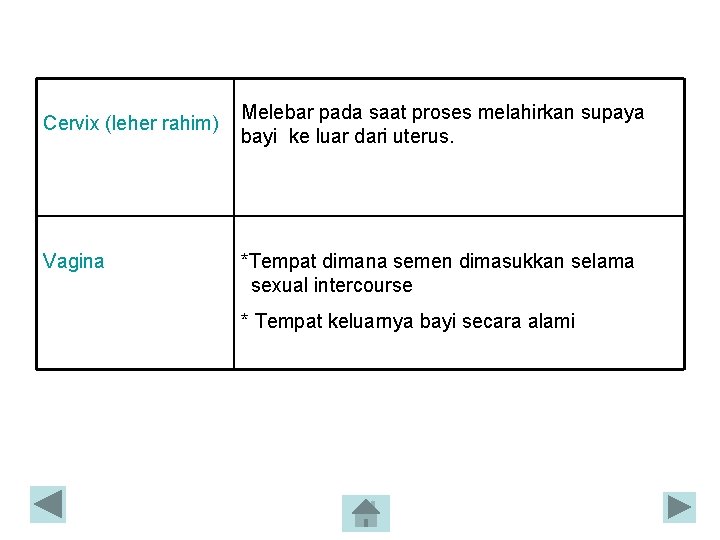 Cervix (leher rahim) Vagina Melebar pada saat proses melahirkan supaya bayi ke luar dari Cervix (leher rahim) Vagina Melebar pada saat proses melahirkan supaya bayi ke luar dari