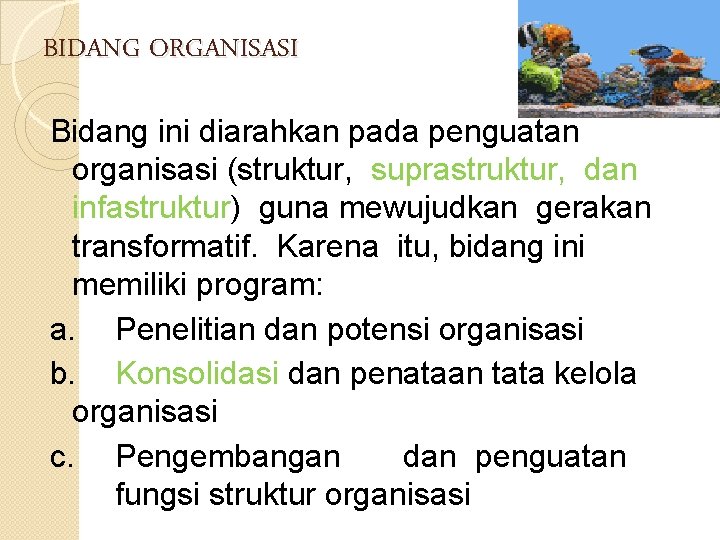 BIDANG ORGANISASI Bidang ini diarahkan pada penguatan organisasi (struktur, suprastruktur, dan infastruktur) guna mewujudkan