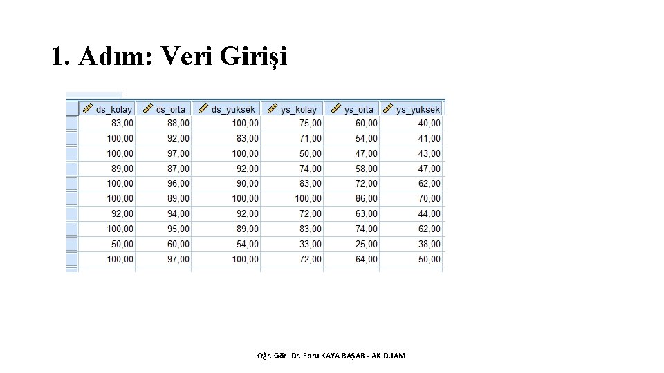 1. Adım: Veri Girişi Öğr. Gör. Dr. Ebru KAYA BAŞAR - AKİDUAM 