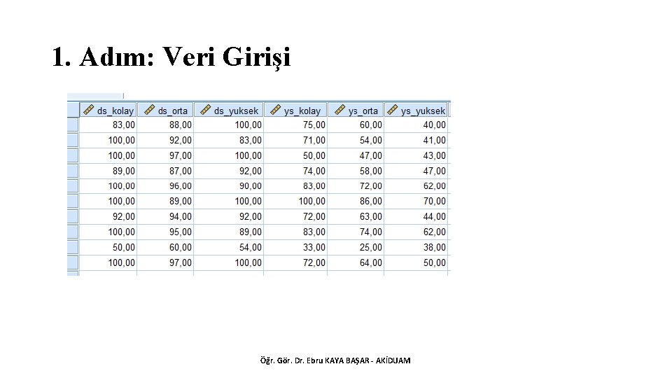 1. Adım: Veri Girişi Öğr. Gör. Dr. Ebru KAYA BAŞAR - AKİDUAM 