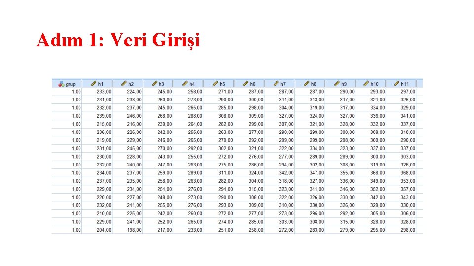 Adım 1: Veri Girişi 