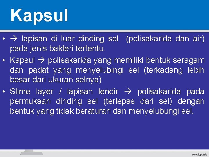 Kapsul • lapisan di luar dinding sel (polisakarida dan air) pada jenis bakteri tertentu. Kapsul • lapisan di luar dinding sel (polisakarida dan air) pada jenis bakteri tertentu.