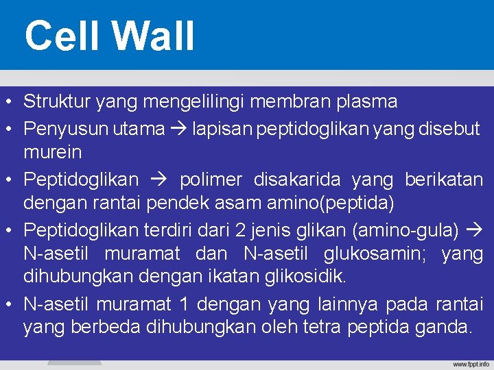 Cell Wall • Struktur yang mengelilingi membran plasma • Penyusun utama lapisan peptidoglikan yang Cell Wall • Struktur yang mengelilingi membran plasma • Penyusun utama lapisan peptidoglikan yang