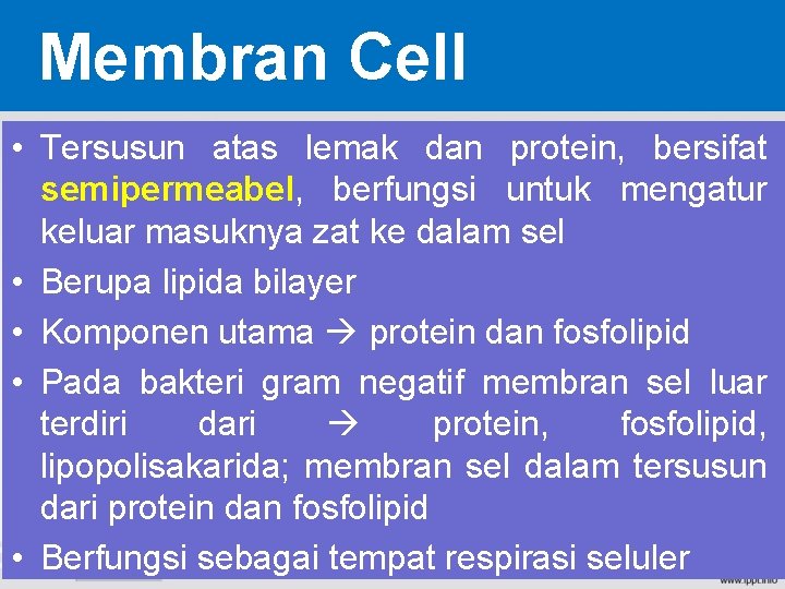 Membran Cell • Tersusun atas lemak dan protein, bersifat semipermeabel, berfungsi untuk mengatur keluar Membran Cell • Tersusun atas lemak dan protein, bersifat semipermeabel, berfungsi untuk mengatur keluar