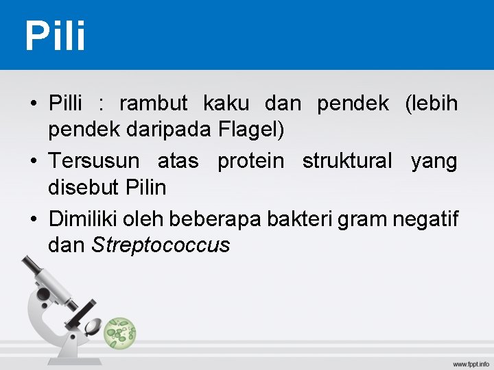 Pili • Pilli : rambut kaku dan pendek (lebih pendek daripada Flagel) • Tersusun Pili • Pilli : rambut kaku dan pendek (lebih pendek daripada Flagel) • Tersusun