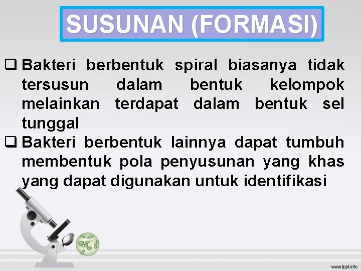 SUSUNAN (FORMASI) q Bakteri berbentuk spiral biasanya tidak tersusun dalam bentuk kelompok melainkan terdapat SUSUNAN (FORMASI) q Bakteri berbentuk spiral biasanya tidak tersusun dalam bentuk kelompok melainkan terdapat