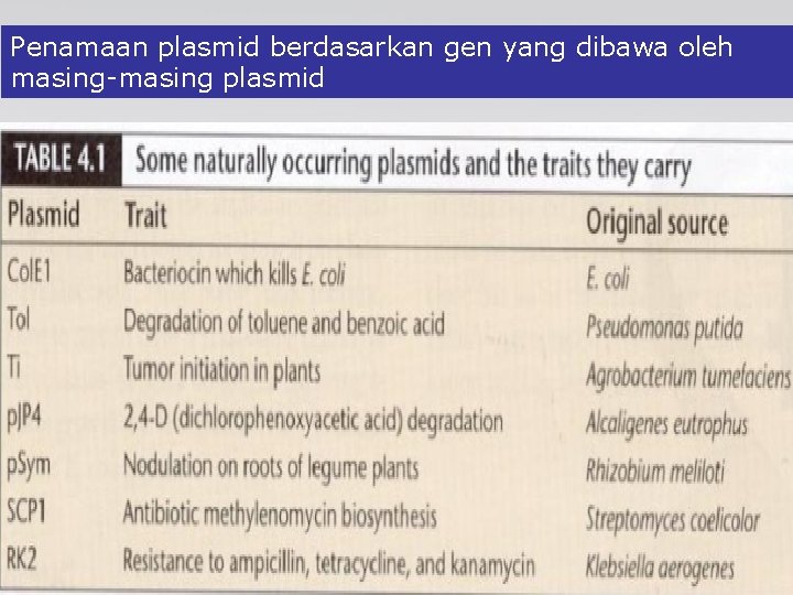 Penamaan plasmid berdasarkan gen yang dibawa oleh masing-masing plasmid Penamaan plasmid berdasarkan gen yang dibawa oleh masing-masing plasmid