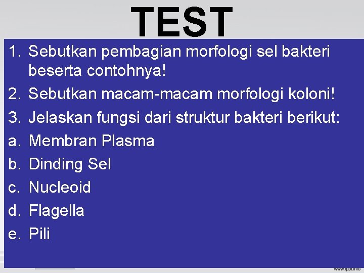 TEST 1. Sebutkan pembagian morfologi sel bakteri beserta contohnya! 2. Sebutkan macam-macam morfologi koloni! TEST 1. Sebutkan pembagian morfologi sel bakteri beserta contohnya! 2. Sebutkan macam-macam morfologi koloni!