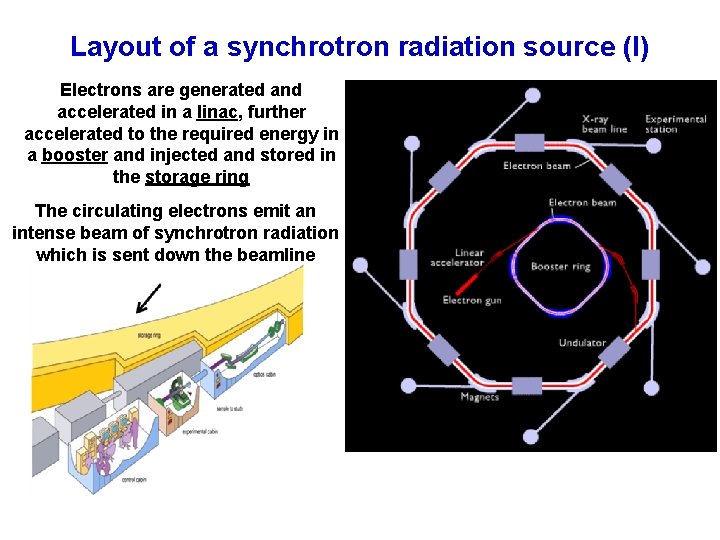 Layout of a synchrotron radiation source (I) Electrons are generated and accelerated in a