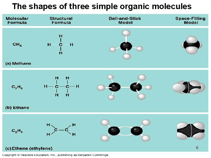 The shapes of three simple organic molecules 6 The shapes of three simple organic molecules 6