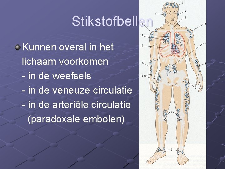 Stikstofbellen Kunnen overal in het lichaam voorkomen - in de weefsels - in de
