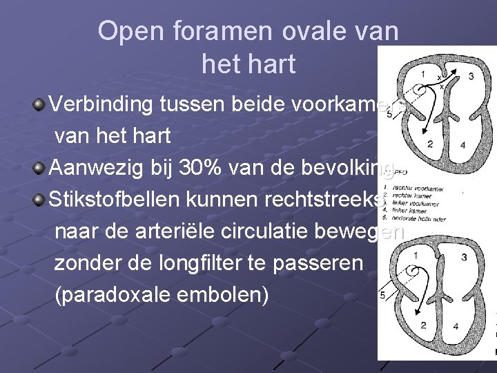 Open foramen ovale van het hart Verbinding tussen beide voorkamers van het hart Aanwezig