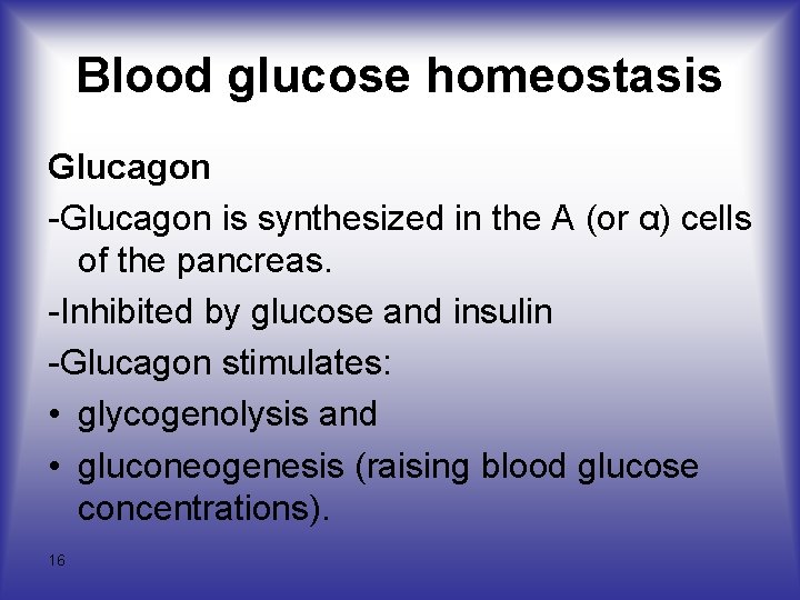 Blood glucose homeostasis Glucagon -Glucagon is synthesized in the A (or α) cells of
