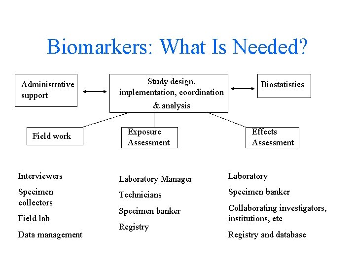 Biomarkers: What Is Needed? Administrative support Study design, implementation, coordination Biostatistics & analysis Field