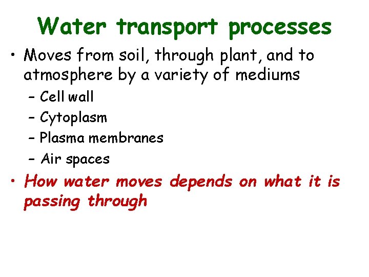 Water transport processes • Moves from soil, through plant, and to atmosphere by a