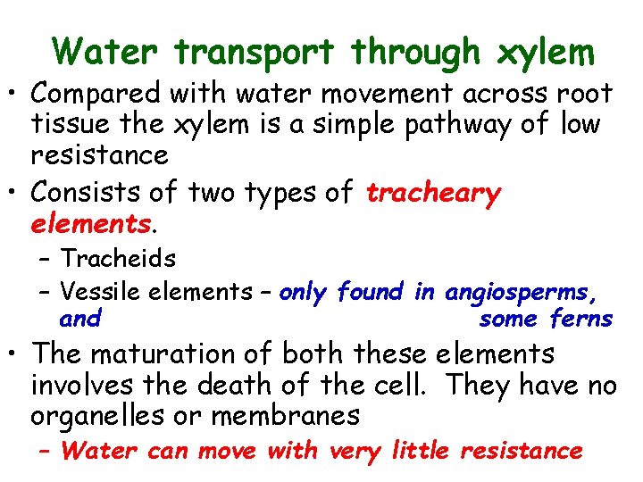 Water transport through xylem • Compared with water movement across root tissue the xylem