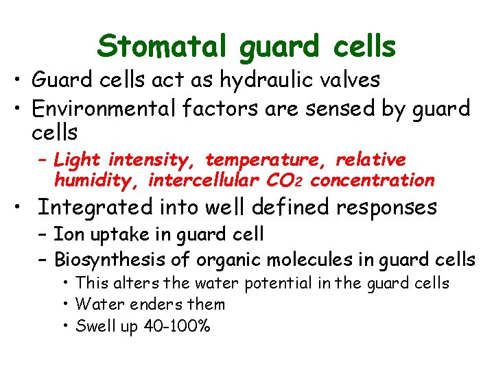 Stomatal guard cells • Guard cells act as hydraulic valves • Environmental factors are Stomatal guard cells • Guard cells act as hydraulic valves • Environmental factors are