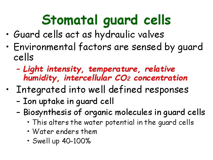 Stomatal guard cells • Guard cells act as hydraulic valves • Environmental factors are