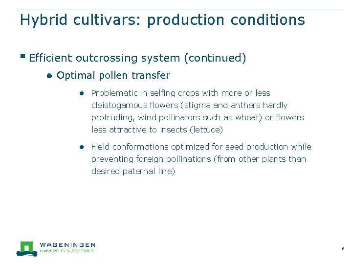 Hybrid cultivars: production conditions § Efficient outcrossing system (continued) ● Optimal pollen transfer ●