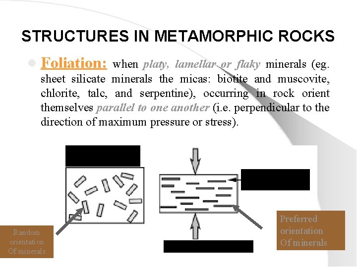 STRUCTURES IN METAMORPHIC ROCKS l Foliation: when platy, lamellar or flaky minerals (eg. sheet