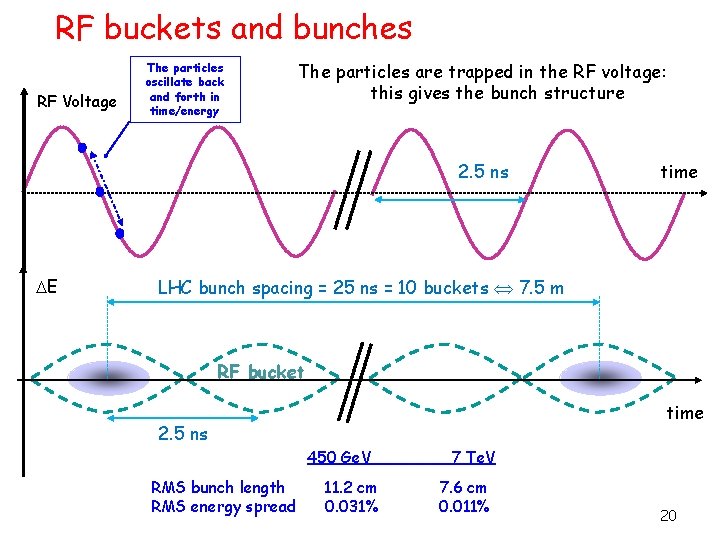 RF buckets and bunches RF Voltage The particles oscillate back and forth in time/energy