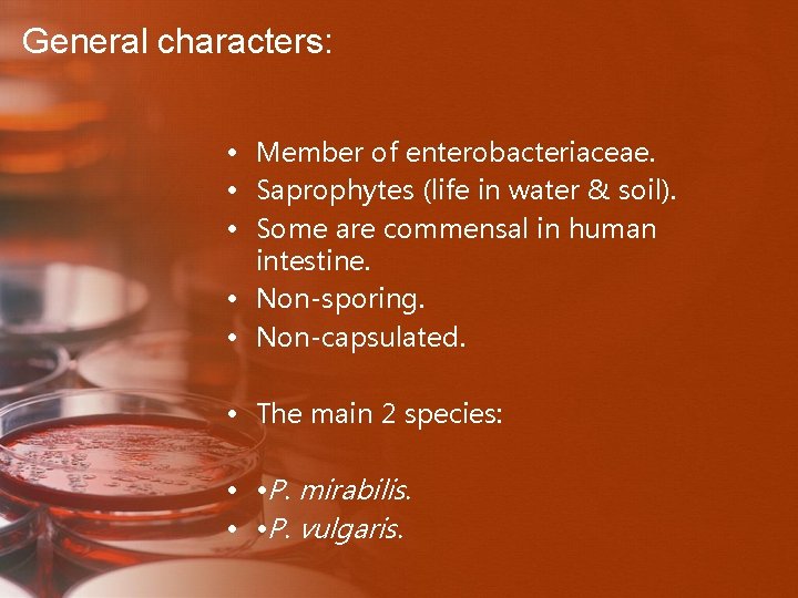 General characters: • Member of enterobacteriaceae. • Saprophytes (life in water & soil). •