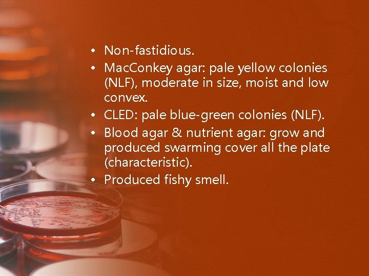  • Non-fastidious. • Mac. Conkey agar: pale yellow colonies (NLF), moderate in size,