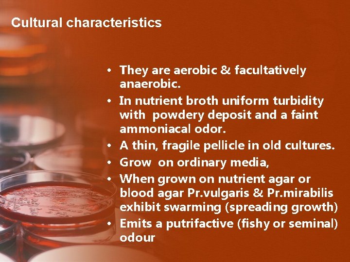 Cultural characteristics • They are aerobic & facultatively anaerobic. • In nutrient broth uniform