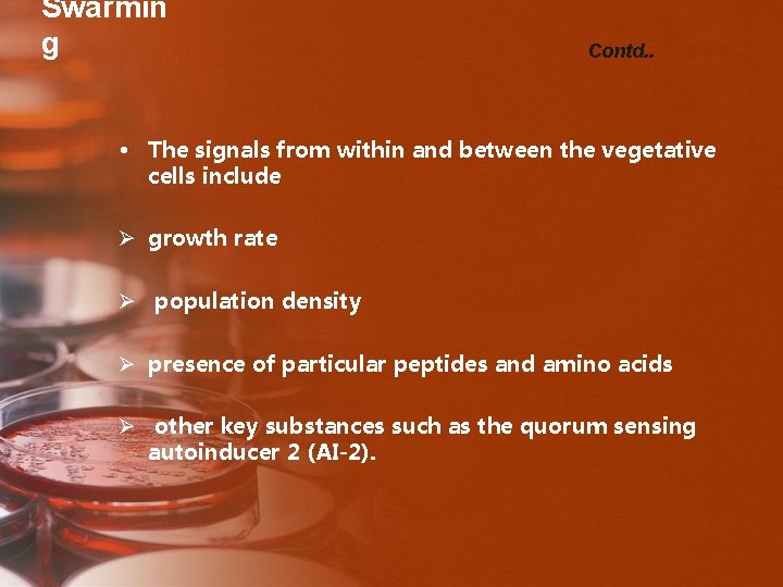 Swarmin g Contd. . • The signals from within and between the vegetative cells