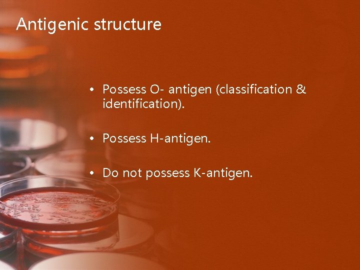 Antigenic structure • Possess O- antigen (classification & identification). • Possess H-antigen. • Do