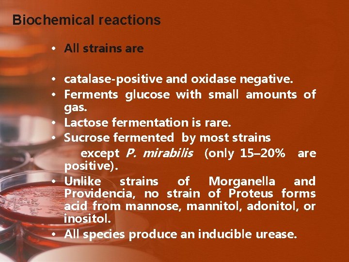 Biochemical reactions • All strains are • catalase-positive and oxidase negative. • Ferments glucose