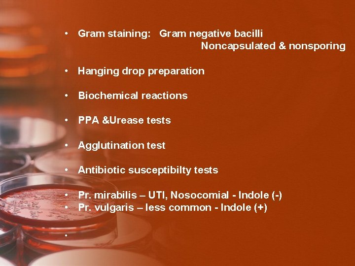  • Gram staining: Gram negative bacilli Noncapsulated & nonsporing • Hanging drop preparation