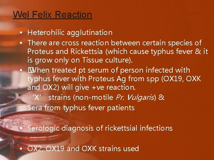 Wel Felix Reaction • Heterohilic agglutination • There are cross reaction between certain species