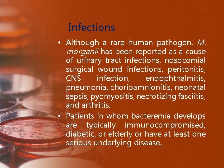 Infections • Although a rare human pathogen, M. morganii has been reported as a