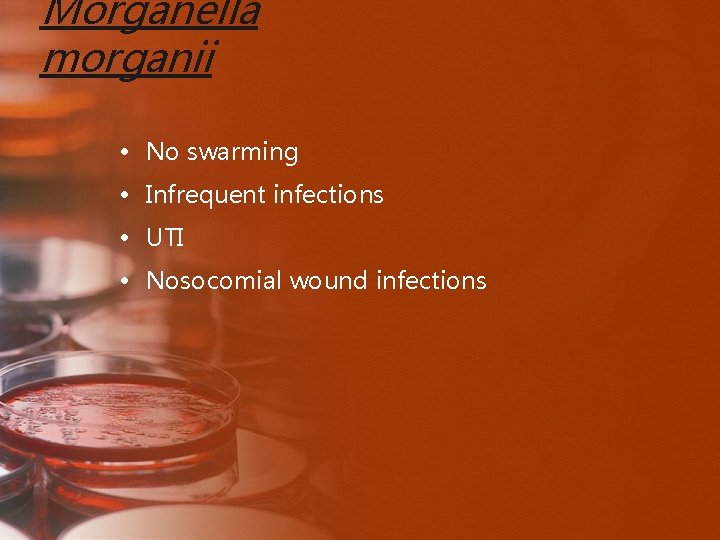 Morganella morganii • No swarming • Infrequent infections • UTI • Nosocomial wound infections