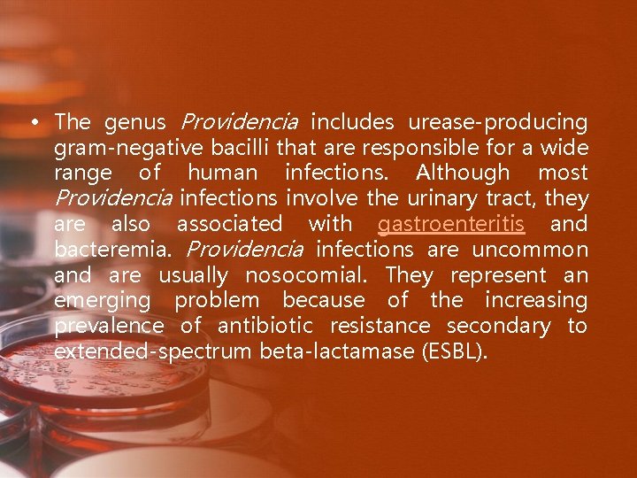  • The genus Providencia includes urease-producing gram-negative bacilli that are responsible for a