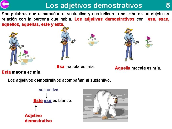 Los adjetivos demostrativos 5 Son palabras que acompañan al sustantivo y nos indican la