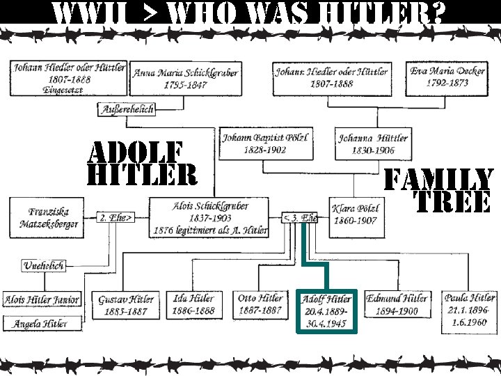 wwii > who was hitler? adolf hitler family tree 
